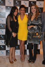at  dassani jewellery preview in Mumbai on 11th Oct 2013 (27)_5259658ef169d.JPG